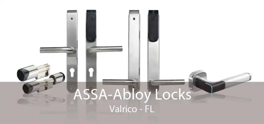 ASSA-Abloy Locks Valrico - FL