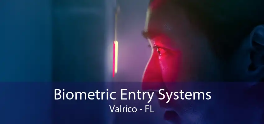 Biometric Entry Systems Valrico - FL