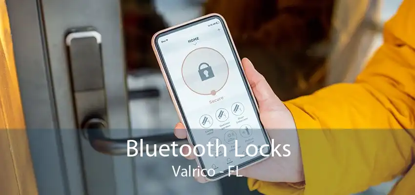 Bluetooth Locks Valrico - FL