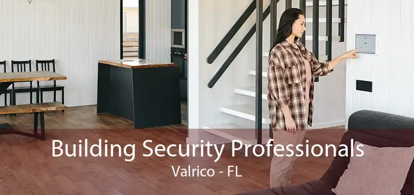 Building Security Professionals Valrico - FL