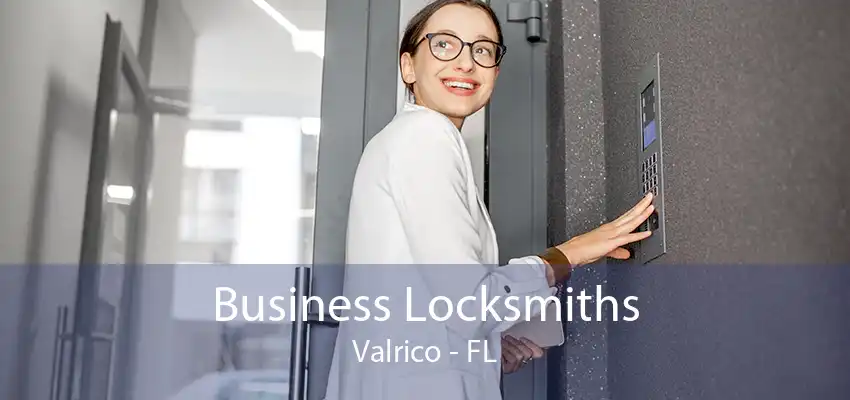 Business Locksmiths Valrico - FL