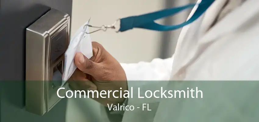 Commercial Locksmith Valrico - FL