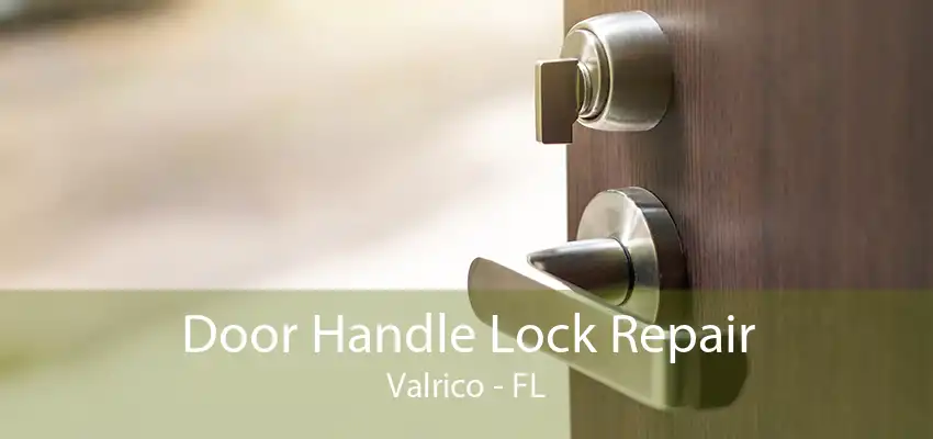 Door Handle Lock Repair Valrico - FL