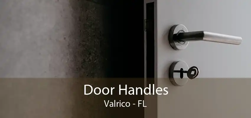 Door Handles Valrico - FL