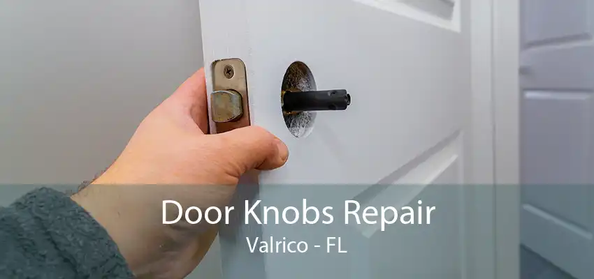 Door Knobs Repair Valrico - FL