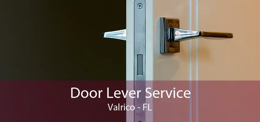 Door Lever Service Valrico - FL