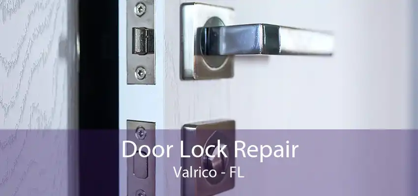 Door Lock Repair Valrico - FL