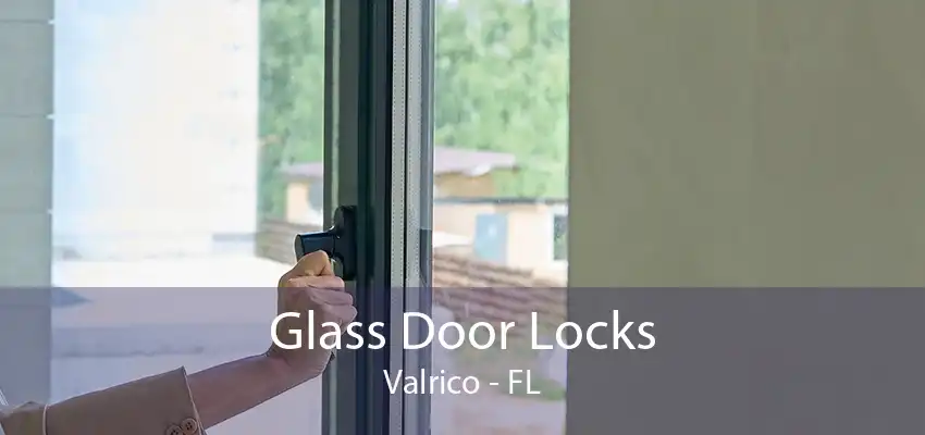 Glass Door Locks Valrico - FL