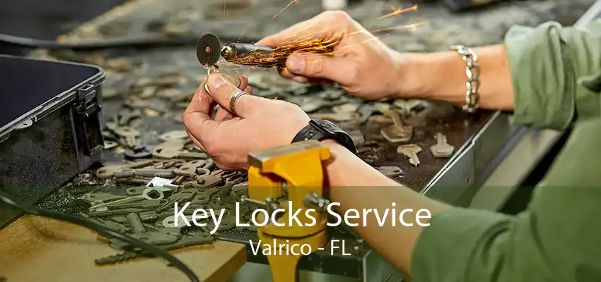 Key Locks Service Valrico - FL