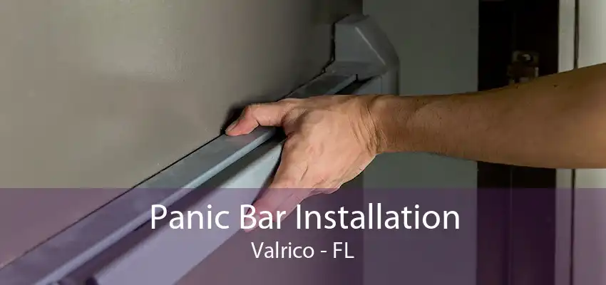 Panic Bar Installation Valrico - FL