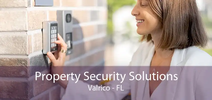 Property Security Solutions Valrico - FL