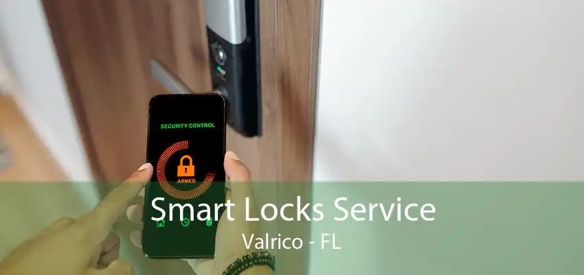 Smart Locks Service Valrico - FL