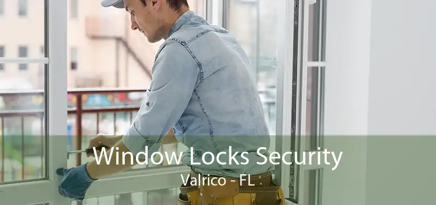 Window Locks Security Valrico - FL